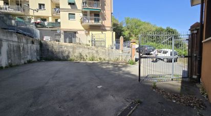 Shop / premises commercial of 575 m² in Genova (16138)