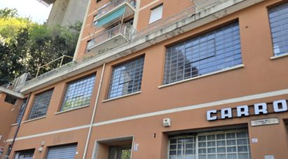 Shop / premises commercial of 575 m² in Genova (16138)