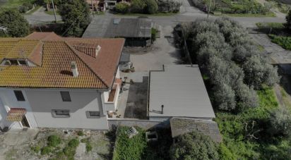 Rustico 8 locali di 158 m² in Pontinia (04014)