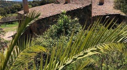 Casa indipendente 6 locali di 140 m² in Telti (07020)