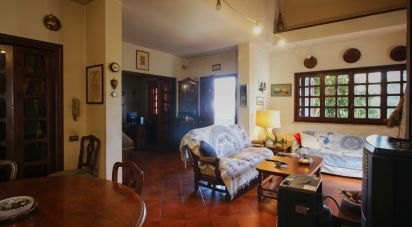 House boat 12 rooms of 276 m² in Anzio (00042)