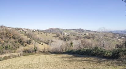 Terreno agricolo di 50.000 m² in Falerone (63837)