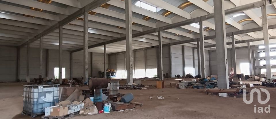 Warehouse of 6,151 m² in Olbia (07026)