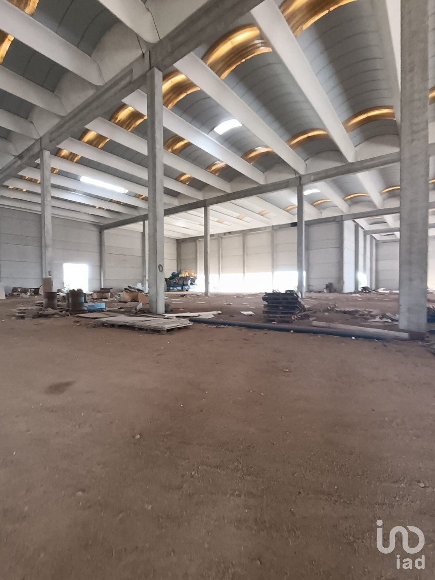 Warehouse of 6,151 m² in Olbia (07026)