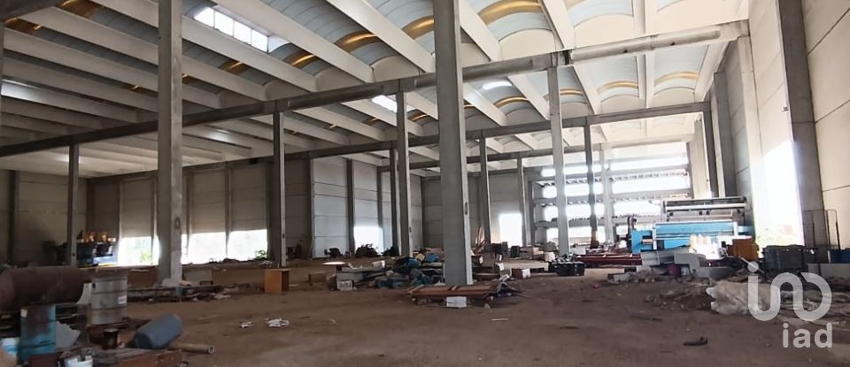 Warehouse of 6,151 m² in Olbia (07026)