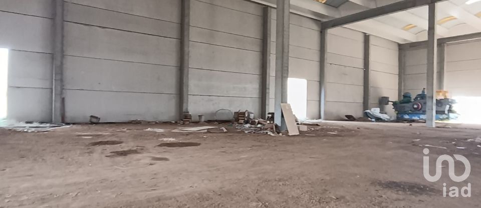 Warehouse of 6,151 m² in Olbia (07026)