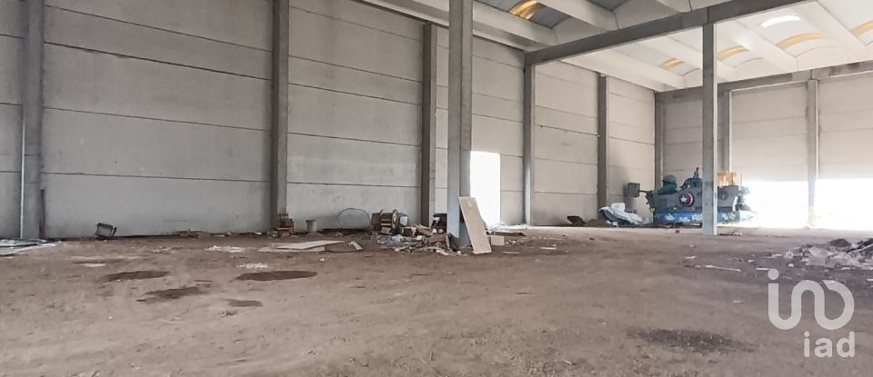 Warehouse of 6,151 m² in Olbia (07026)