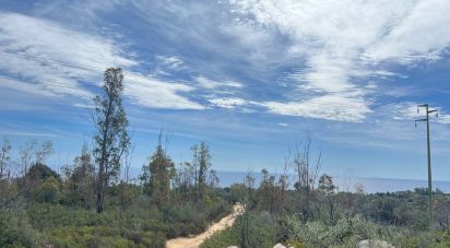 Terreno di 8.000 m² in Tortolì (08048)