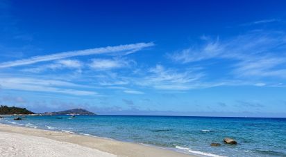 Terreno di 8.000 m² in Tortolì (08048)