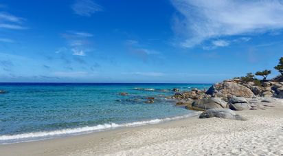 Terreno di 8.000 m² in Tortolì (08048)