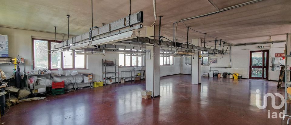 Shop / premises commercial of 250 m² in Sant'Elpidio a Mare (63811)