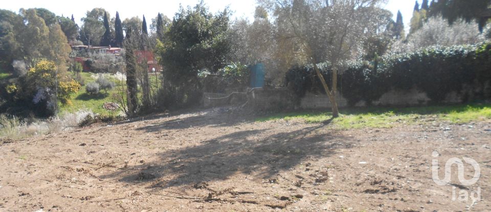 Terreno di 4.656 m² in Roma (00139)