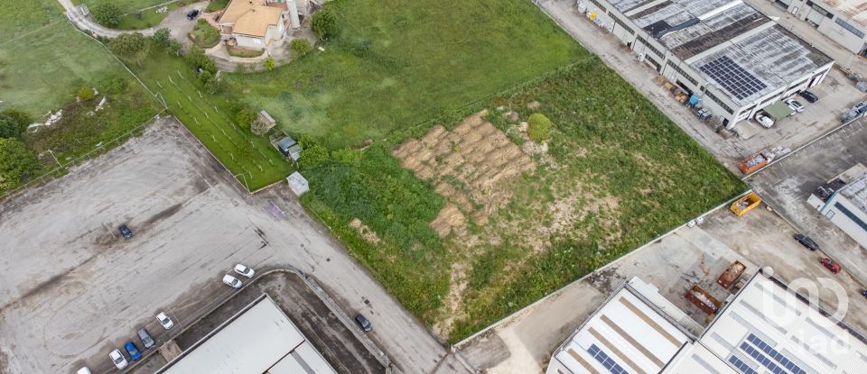 Terreno di 4.821 m² in Castelfidardo (60022)