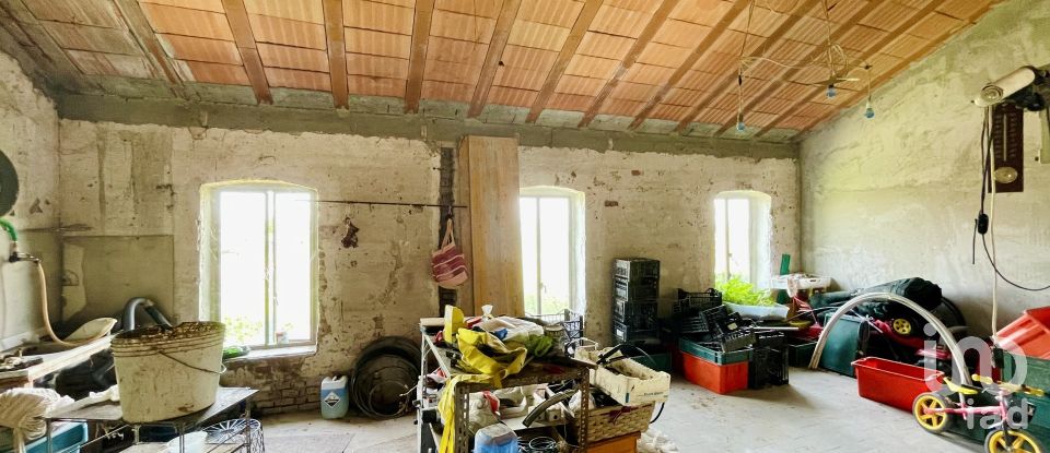 Land 5 rooms of 118 m² in San Donà di Piave (30027)