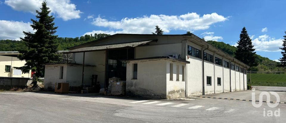 Varie superfici di 6.223 m² in Città di Castello (06012)