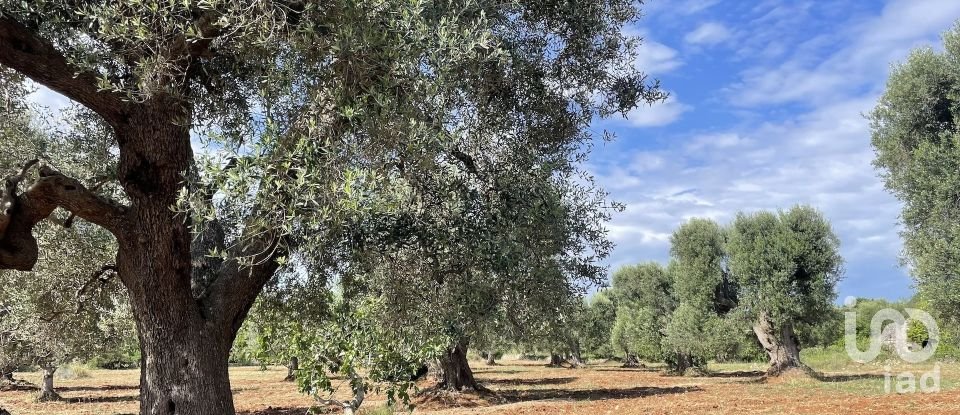 Trullo 4 locali di 60 m² in Ceglie Messapica (72013)