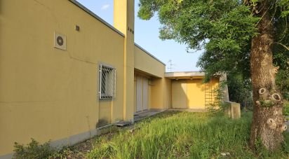 Casa 13 locali di 335 m² in Casale Monferrato (15033)