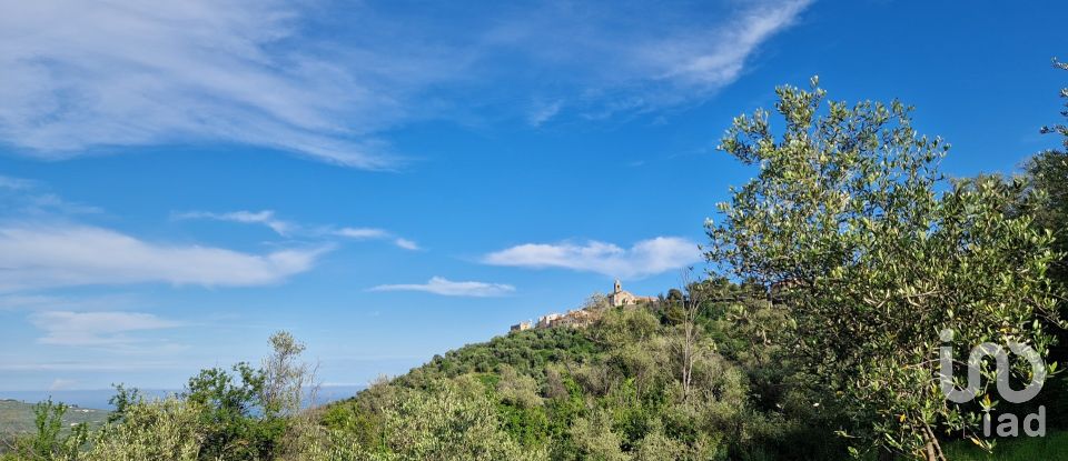 Terreno di 0 m² in Cipressa (18017)