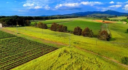 Two-room apartment of 60 m² in Castellina Marittima (56040)