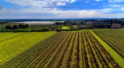 Two-room apartment of 60 m² in Castellina Marittima (56040)