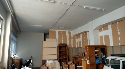 Shop / premises commercial of 300 m² in Ancona (60131)