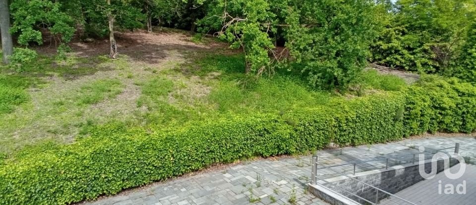 Villa 1 locale di 300 m² in Pecetto di Valenza (15040)