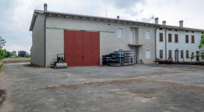 Rustico 0 locali di 264 m² in Castel Goffredo (46042)