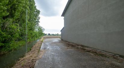 Rustico 0 locali di 264 m² in Castel Goffredo (46042)