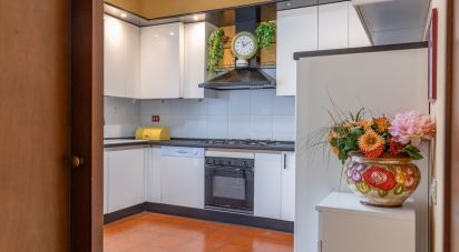 Four-room apartment of 120 m² in Recanati (62019)