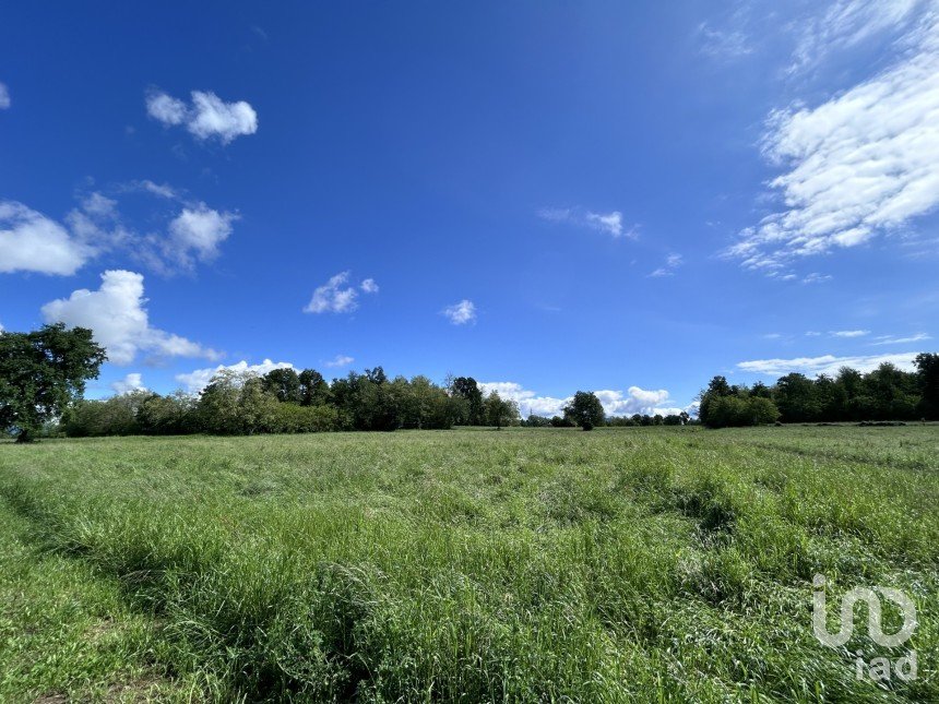 Agricultural land of 0 m² in Solbiate (22043)