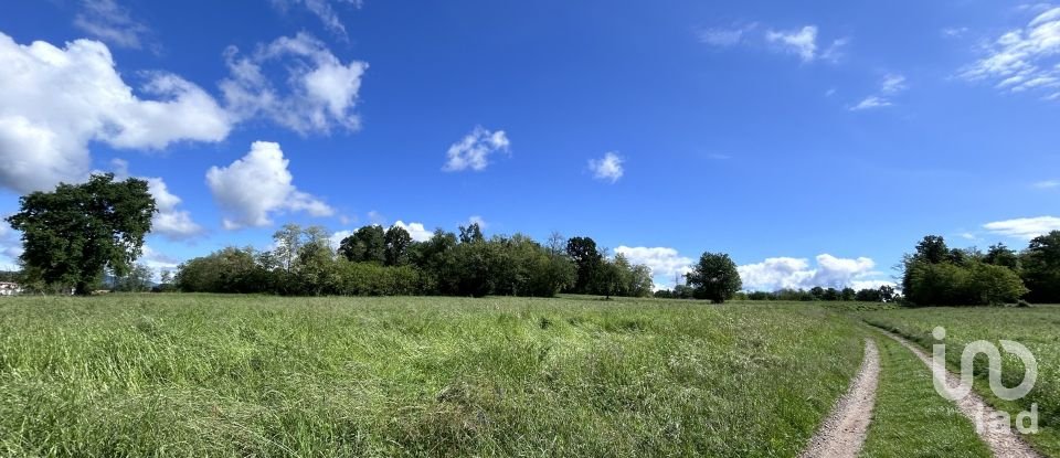 Agricultural land of 0 m² in Solbiate (22043)