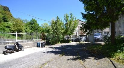 Pareti commerciali di 210 m² in Ceranesi (16014)