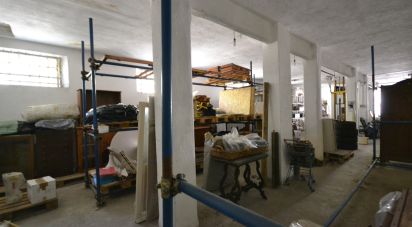 Pareti commerciali di 210 m² in Ceranesi (16014)