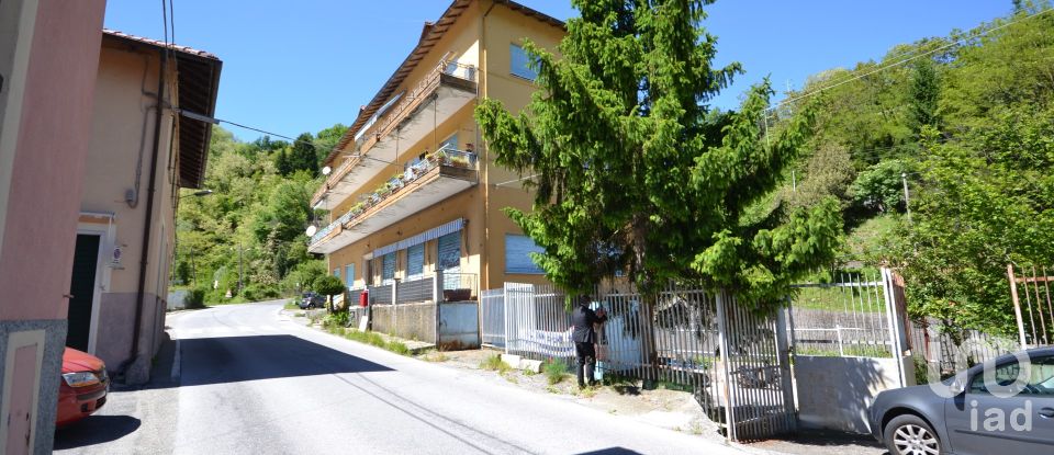 Pareti commerciali di 210 m² in Ceranesi (16014)