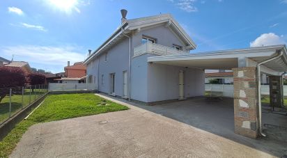 Villa Bifamiliare 8 locali di 170 m² in San Martino di Venezze (45030)