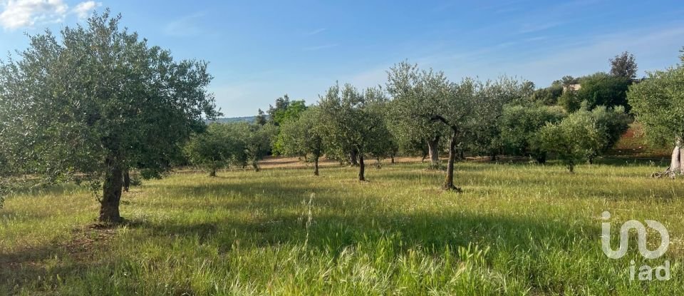 Trullo 4 locali di 100 m² in Alberobello (70011)