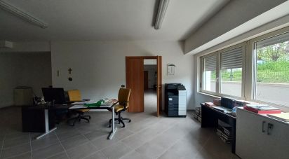 Uffici di 339 m² in L'Aquila (67100)