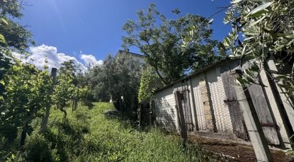 Rifugio 10 locali di 300 m² in Monte Urano (63813)