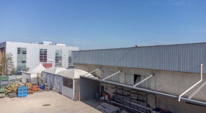 Warehouse of 1,080 m² in Castelfidardo (60022)