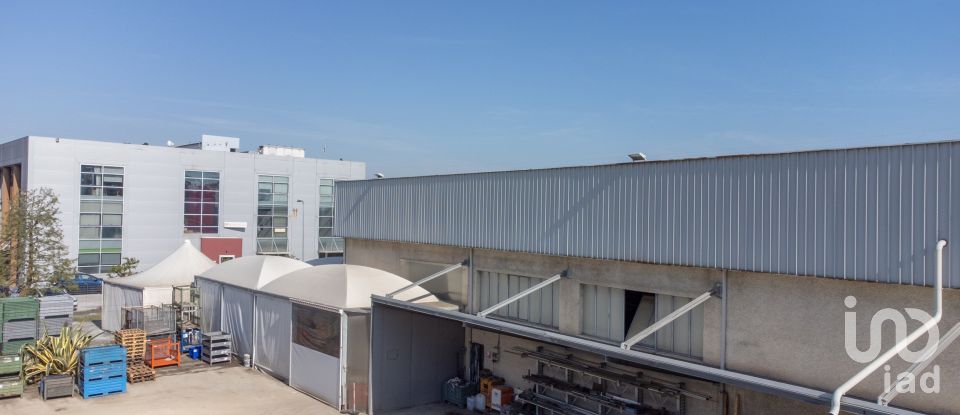 Warehouse of 1,080 m² in Castelfidardo (60022)