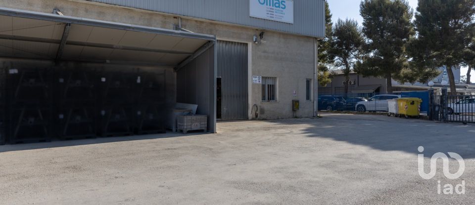 Warehouse of 1,080 m² in Castelfidardo (60022)