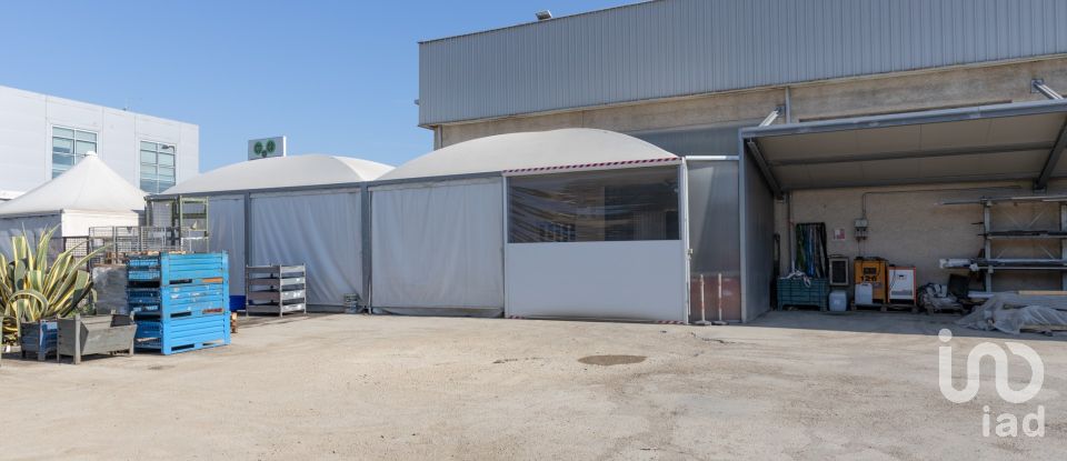 Warehouse of 1,080 m² in Castelfidardo (60022)