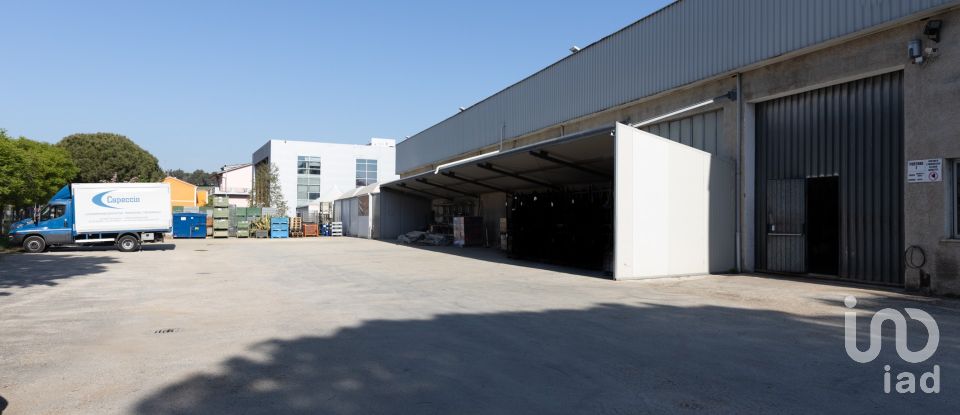 Warehouse of 1,080 m² in Castelfidardo (60022)