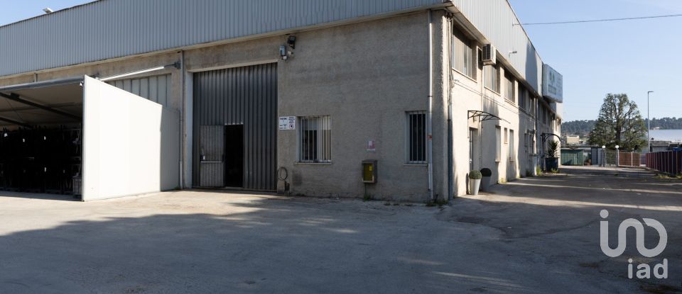 Warehouse of 1,080 m² in Castelfidardo (60022)