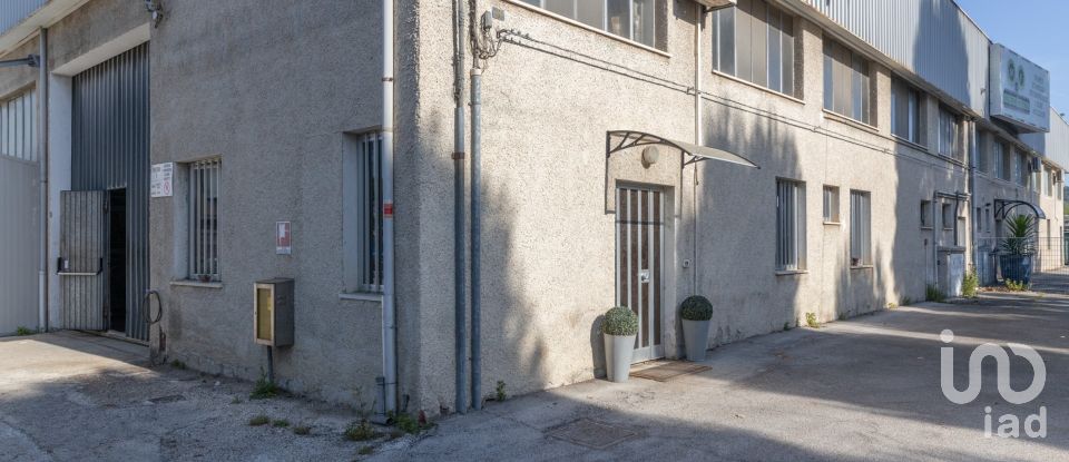 Capannone di 1.080 m² in Castelfidardo (60022)