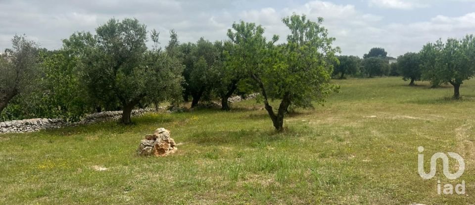 Equestrian facility 7 rooms of 120 m² in Ostuni (72017)