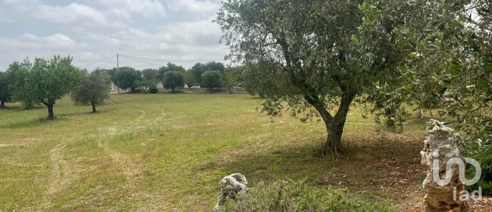 Equestrian facility 7 rooms of 120 m² in Ostuni (72017)