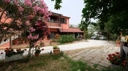 Casa 11 locali di 230 m² in Cupramontana (60034)