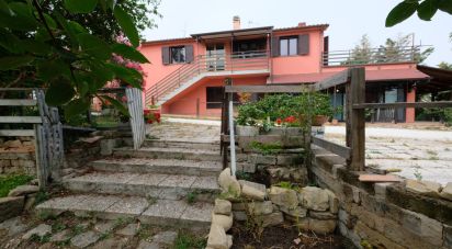 Casa 11 locali di 230 m² in Cupramontana (60034)