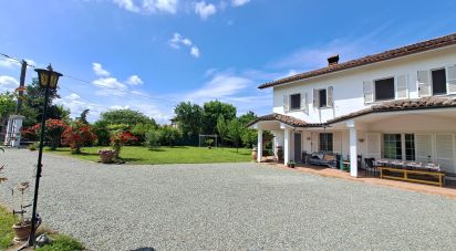 Villa 17 locali di 362 m² in Masio (15024)